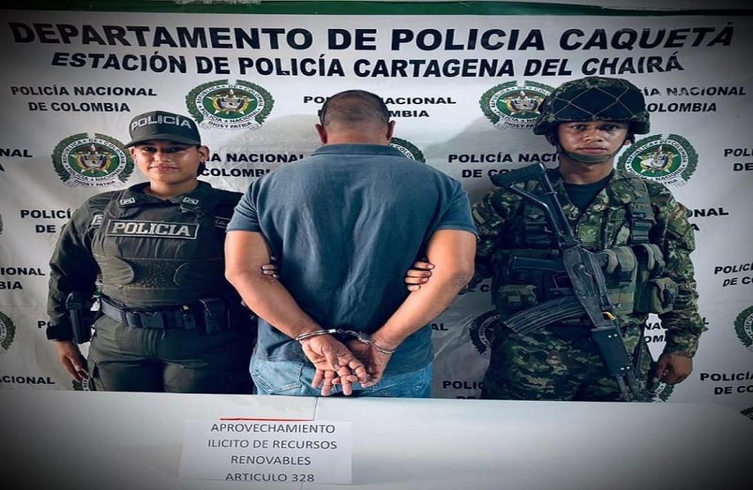 Golpe contra la deforestación en Caquetá