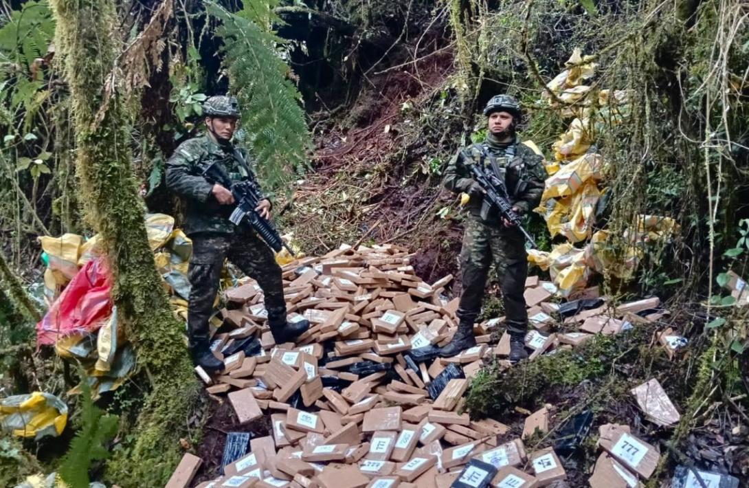 Golpe al narcotráfico por más de 38,5 millones de dólares: Ejército desmanteló 308 infraestructuras ilegales en marzo