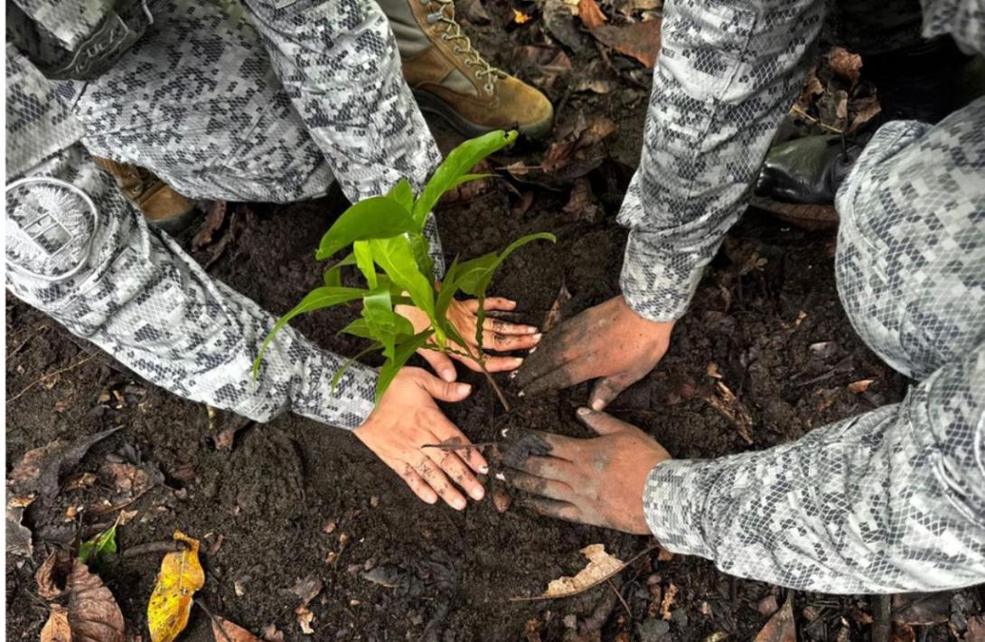 Puerto Salgar, Cundinamarca reverdece con siembra de 200 árboles y compromiso ambiental