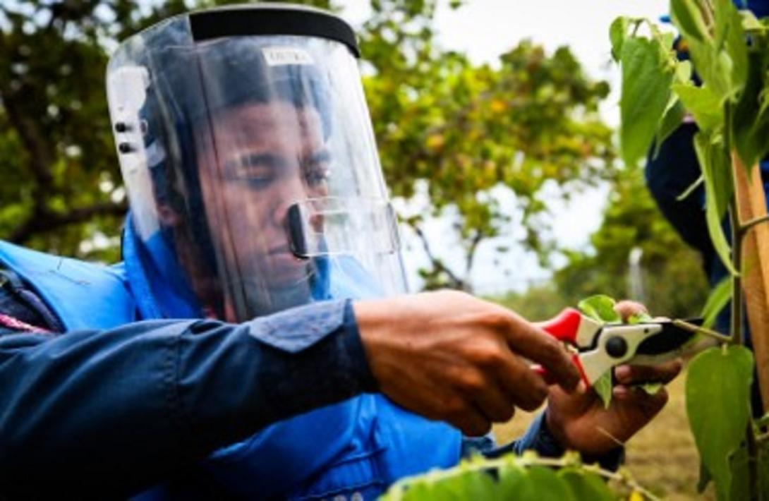 San Pablo, Nariño, se declara como territorio libre de sospecha de minas antipersonal
