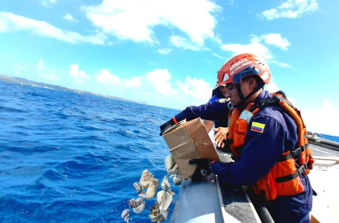 Armada de Colombia y Coralina fortalecen la recuperación de los ecosistemas marinos del Archipiélago