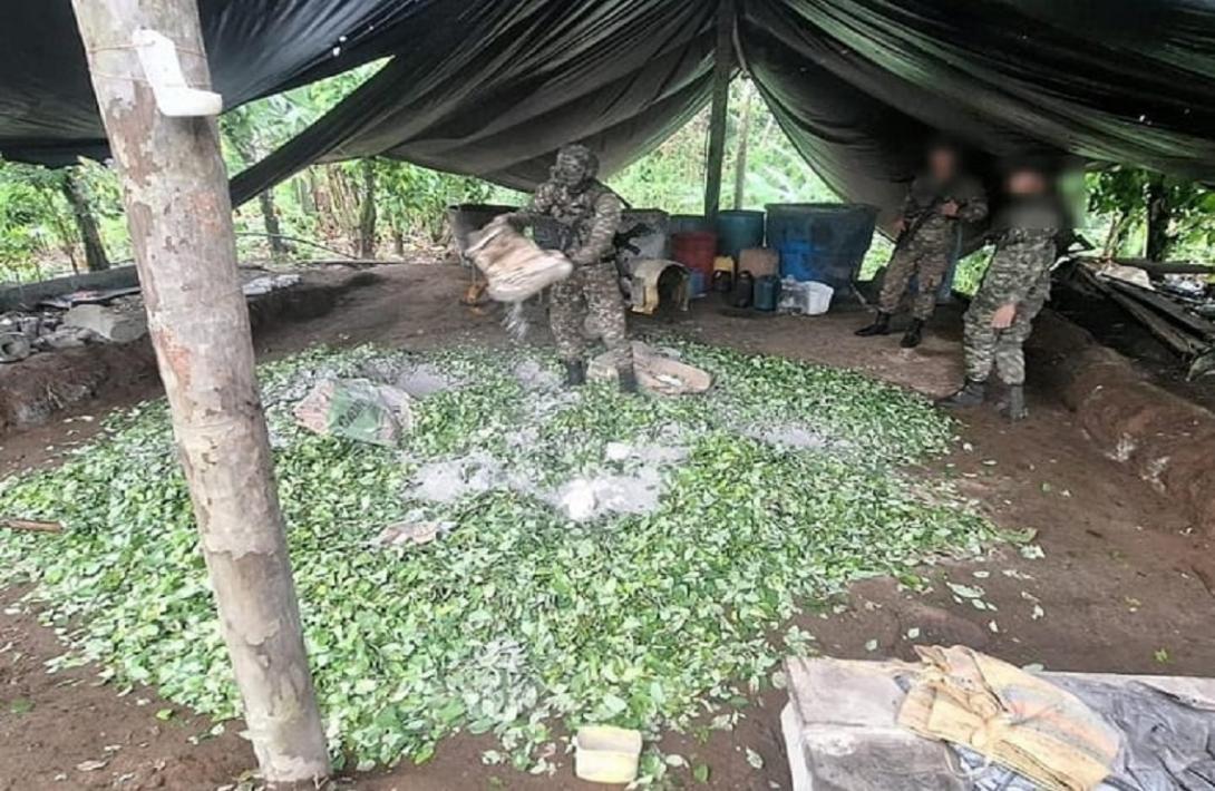 Hallados por el Ejército Nacional 14 complejos cocaleros en el Pacífico y Caribe colombiano