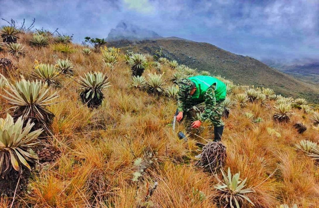Ejército Nacional protege las fábricas de agua de Bogotá y Cundinamarca con la siembra de más de 32.500 árboles nativos