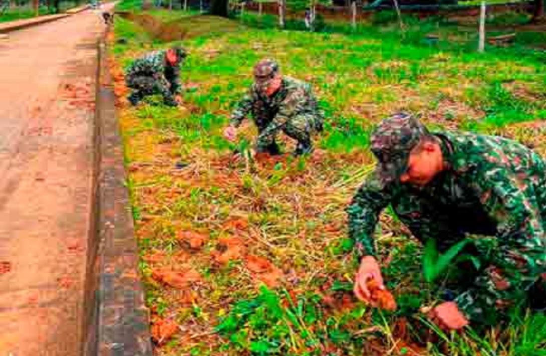 Más de 100 plántulas nativas fueron sembradas en Mitú para contribuir a la conservación ambiental