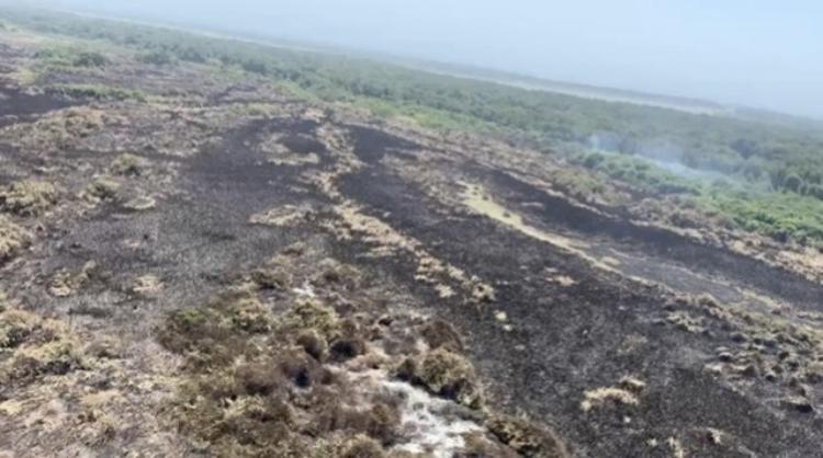 Apoyada desde el aire la atención de la emergencia en la Vía Parque Isla Salamanca