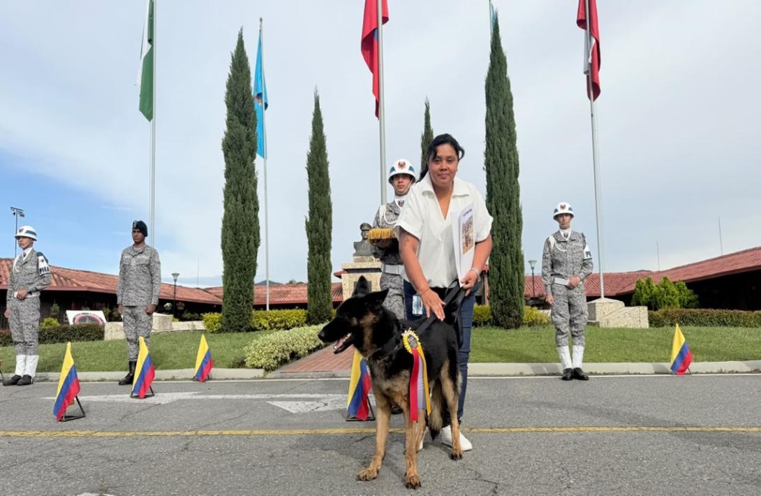 Dimatea, heroína de cuatro patas, inicia su retiro tras servir a Colombia