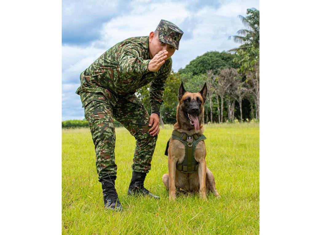 Rex y su guía, un binomio que protege vidas al servicio del Guaviare