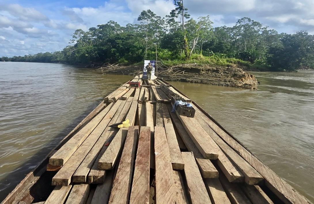 En el Caribe colombiano, Armada de Colombia recupera cerca de 61 toneladas de madera proveniente del tráfico ilegal de flora