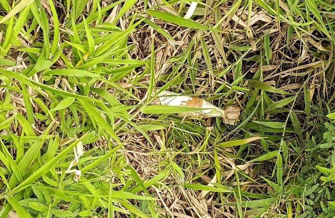 Ejército Nacional desmanteló dos artefactos explosivos abandonados en Anorí, Antioquia