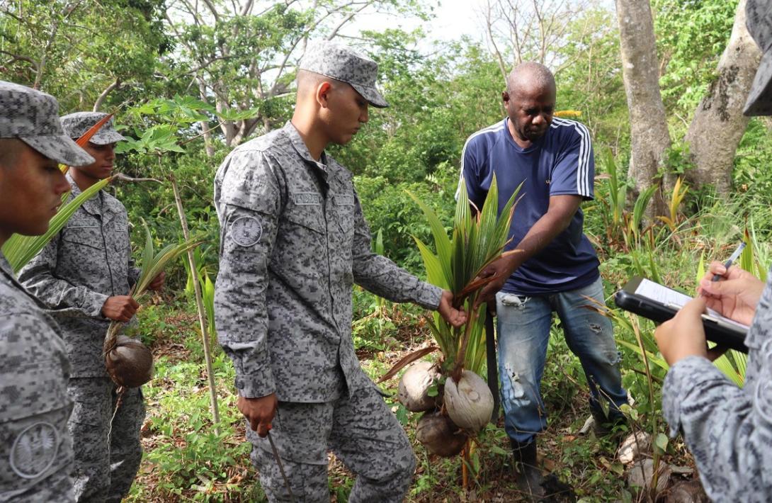 Continúa apoyo a proyecto social productivo cocotero en San Andrés