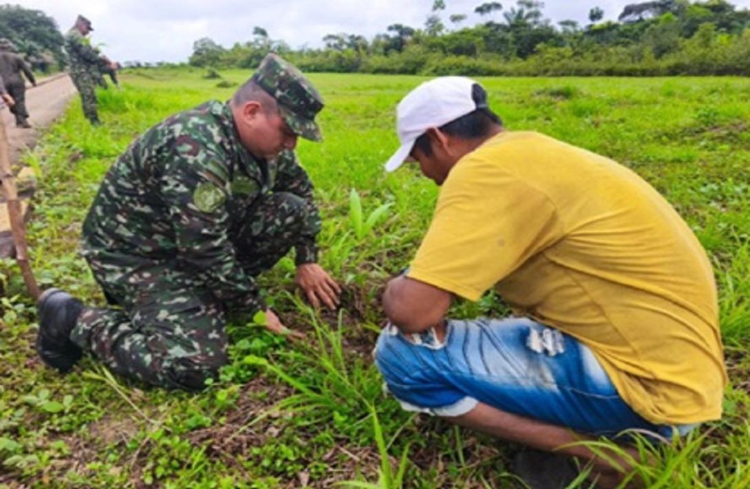 Soldados y comunidad sembraron más de 1.200 plantas nativas para fortalecer la conservación ambiental en Carurú, Vaupés