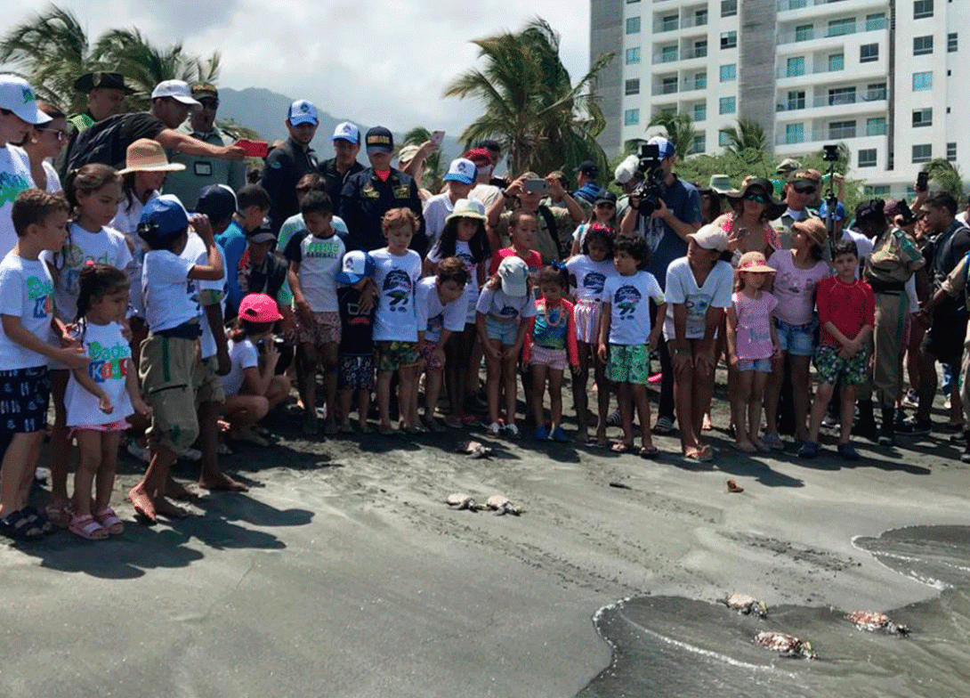 cogfm-arc-liberacion-especies-marina-santa-marta-30.gif