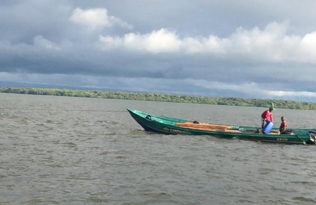 cogfm-armada-colombia-incautacion-madera-valle-cauca-25.jpg