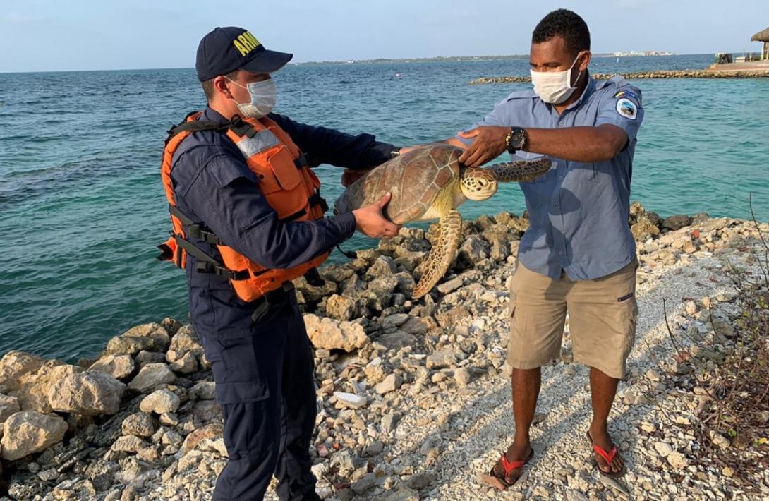cogfm-armada-colombia-rescate-liberacion-tortuga-archipielago-san-bernardo-18.jpg