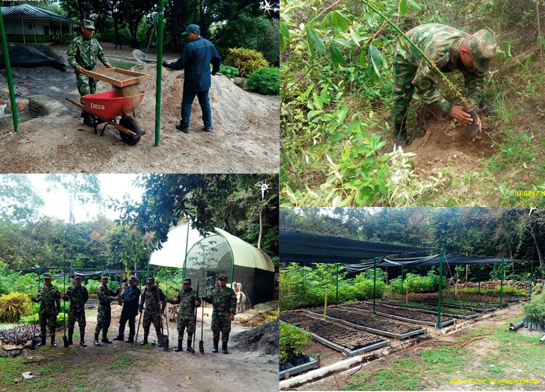 cogfm-ejc-medio-ambiente-artemisa-huila-04_0.gif