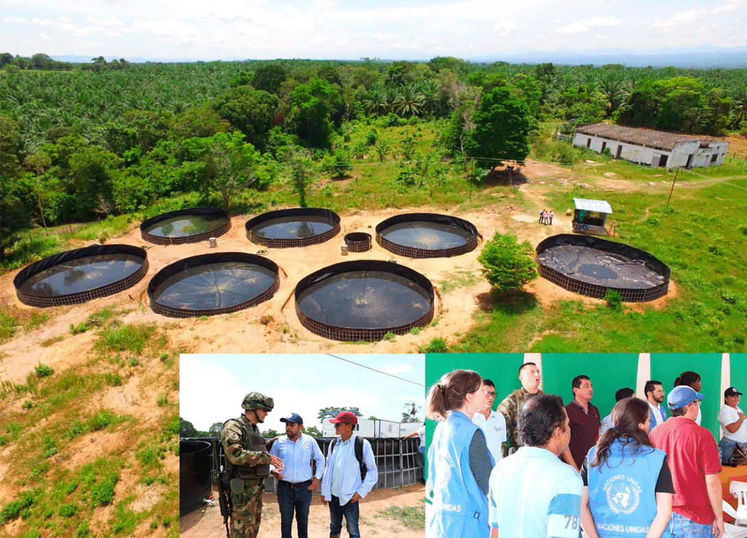 cogfm-ejc-proyectos-productivos-catatumbo-14.gif