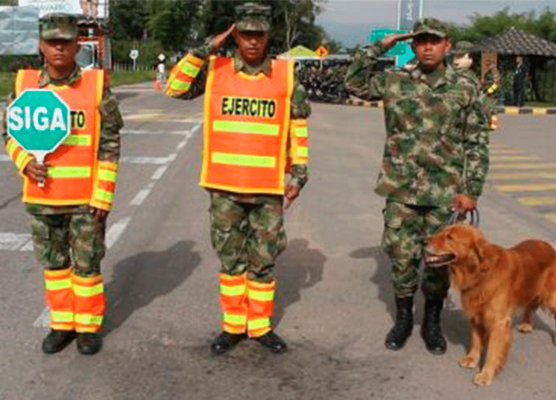 cogfm-ejc-seguridad-control-institucional-territorio-11.gif