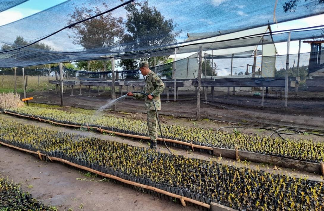 cogfm-ejercito-nacional-apoya-la-implementacion-del-vivero-san-felipe-en-mongui-boyaca-08.jpg