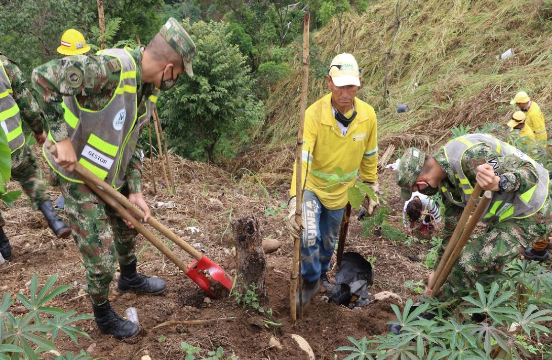 cogfm-ejercito-nacional-medio-ambiente-santander-siembra-arboles-05.jpg