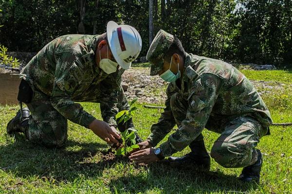 Military Forces initiate containment plan against deforestation in