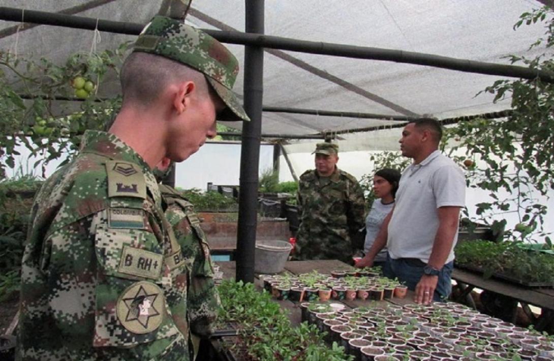 cogfm-ejercito-nacional-vivero-forestal-en-valle-del-cocora-16.jpg