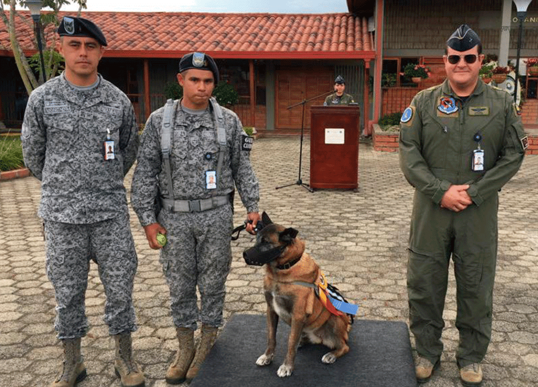 cogfm-fac-canino-antiexplosivos-nany-20.gif