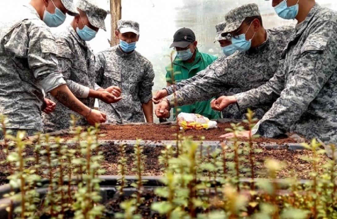 cogfm-fuerza-aerea-colombiana-medio-ambiente-siembra-1000-plantas-seran-sembradas-en-el-paramo-10.jpg