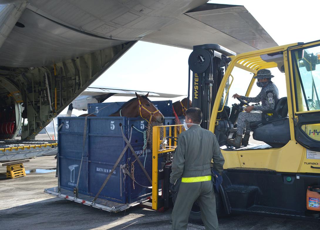 cogfm-fuerza-aerea-colombiana-transporte-semovientes-amazonas-op-san-roque-16.jpg