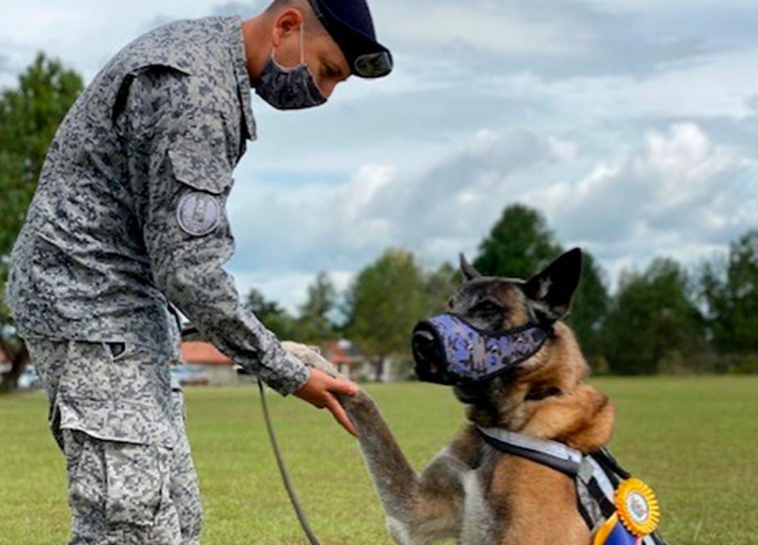 cogfm-fuerza-aerea-con-honores-despiden-canino-antiexplosivo-es-despedido-07.jpg