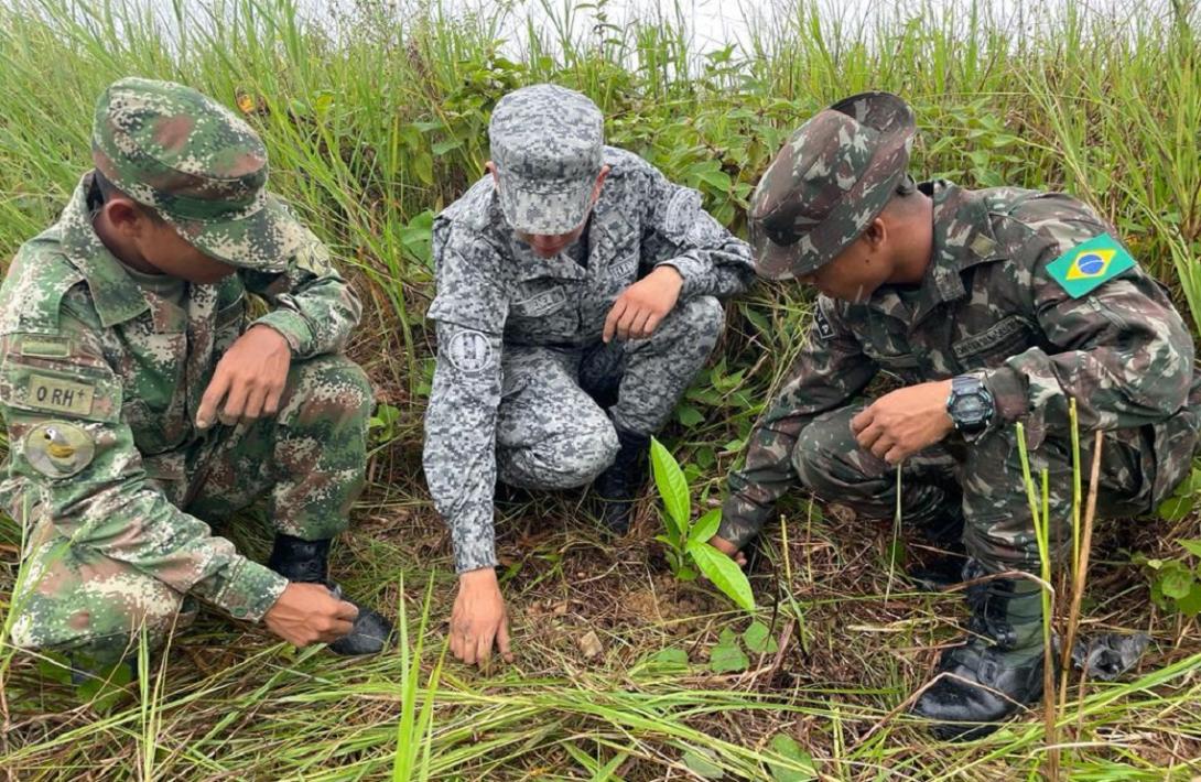 cogfm-fuerza-aerea-jornada-de-reforestacion-binacional-fue-apoyada-por-su-fuerza-aerea-en-el-amazonas-17.jpg