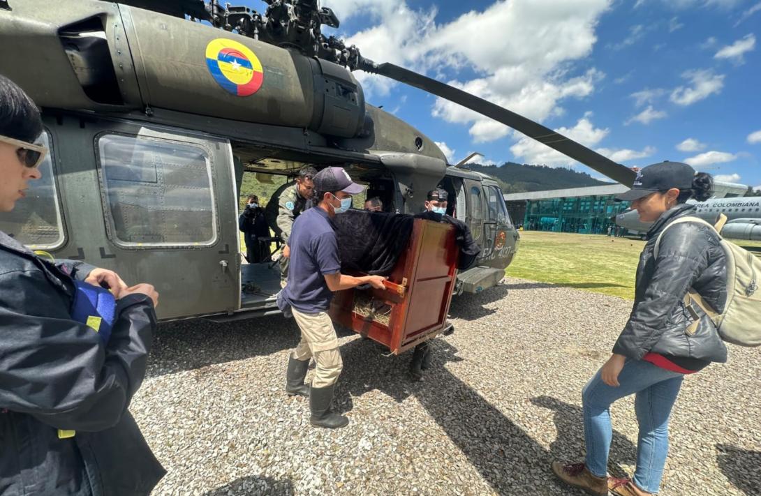 condor_fac.jpg