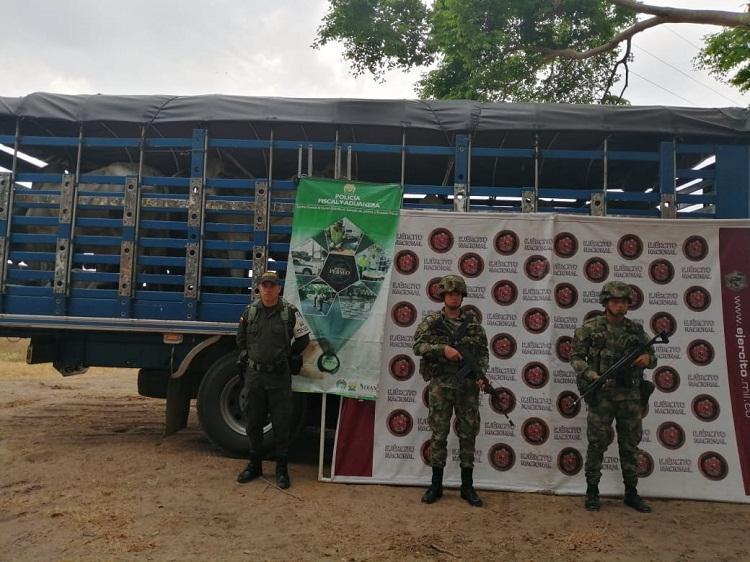 fotografia_01_el_ejercito_nacional_ha_logrado_recuperar_402_semovientes_en_lo_que_va_corrido_del_ano_en_el_depatamento_de_arauca.jpeg