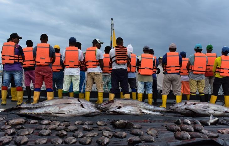 pesca_ilegal_malpelo_7.jpg
